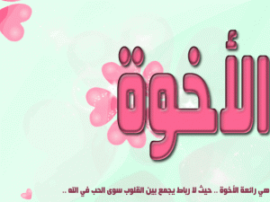 الصحابة والأخوة