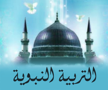 السلمية المطلقة.. مخاطر وحلول