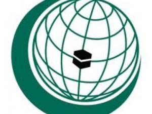 البيان الختامي للقمة الإسلامية سيؤكد وحدة مالي 