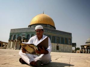 القضية الفلسطينية في طي النسيان العربي
