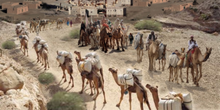 قريش في عيون العرب
