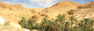 عناية الإسلام بجمال البيئة والشارع والمدينة 