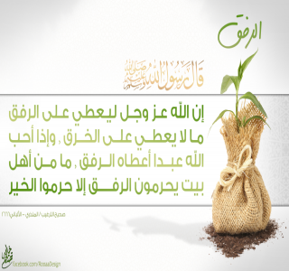يوميات صائم .. الرفق