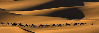 قريش وهجرة الصحابة إلى المدينة